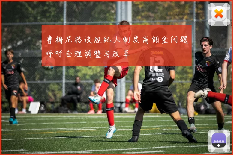 鲁梅尼格谈经纪人制度高佣金问题呼吁合理调整与改革