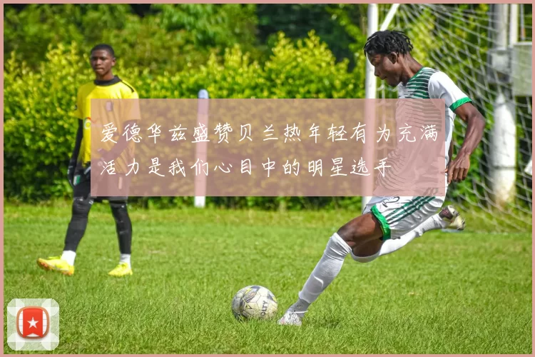 爱德华兹盛赞贝兰热年轻有为充满活力是我们心目中的明星选手